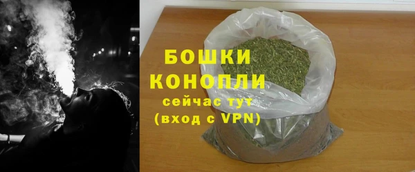 эйфоретик Белокуриха