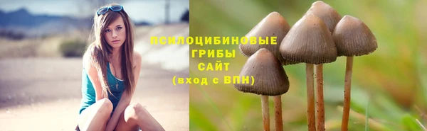 ГАЛЛЮЦИНОГЕННЫЕ ГРИБЫ Белоозёрский