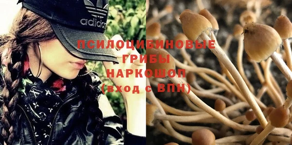 эйфоретик Белокуриха