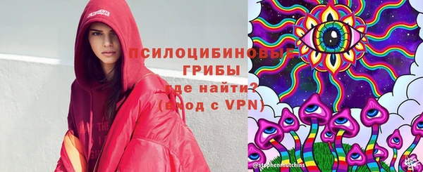 эйфоретик Белокуриха