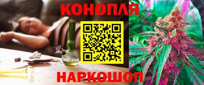стафф Волгодонск