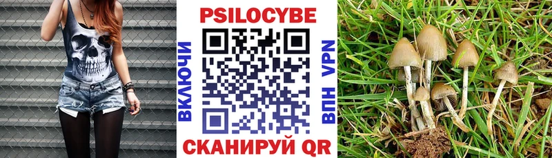 как найти наркотики  Горячий Ключ  Псилоцибиновые грибы мухоморы 