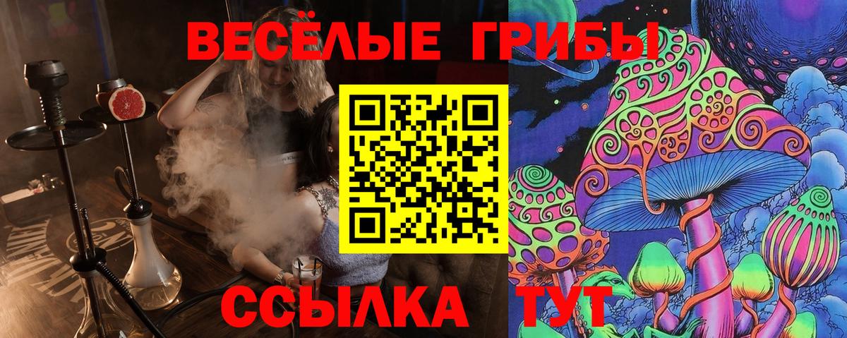 Псилоцибиновые грибы прущие грибы  Галлюциногенные грибы MAGIC MUSHROOMS  где можно купить наркотик  Вход с VPN  Горячий Ключ 