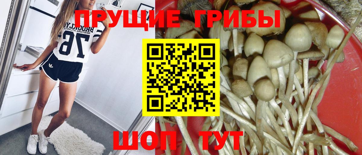 Галлюциногенные грибы прущие грибы Горячий Ключ