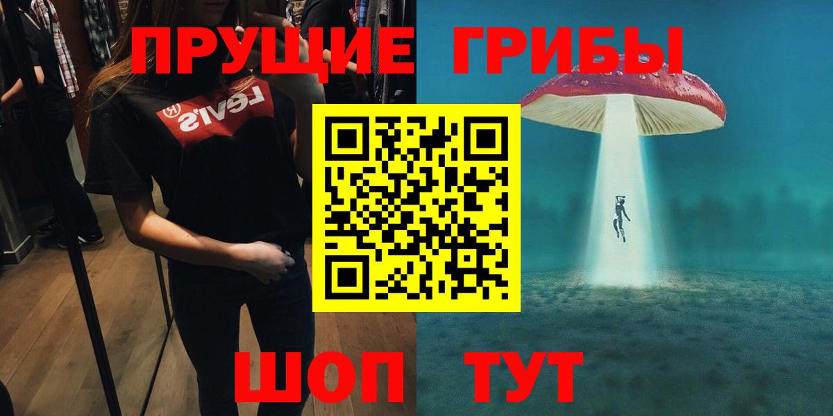 хочу   Горячий Ключ  Псилоцибиновые грибы GOLDEN TEACHER 