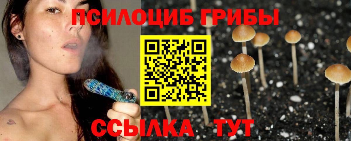 Псилоцибиновые грибы мухоморы Горячий Ключ