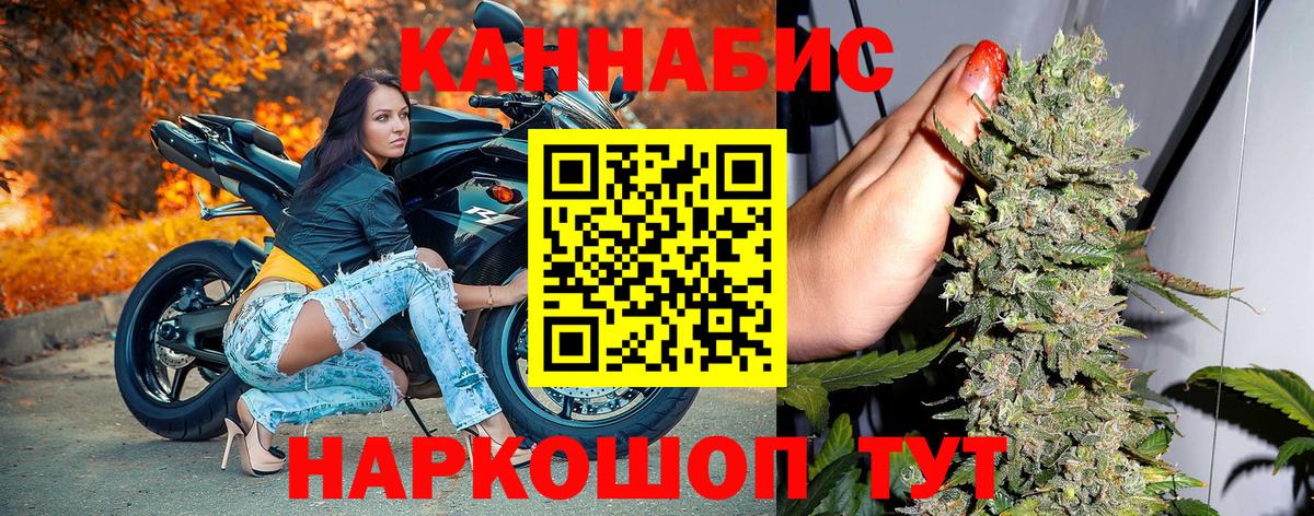 Конопля план Горячий Ключ